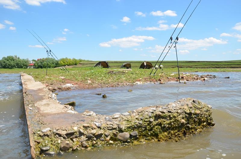 Sarulesti - Mai 2013 - andrei-vladeanu-pescuit-sarulesti-5.JPG